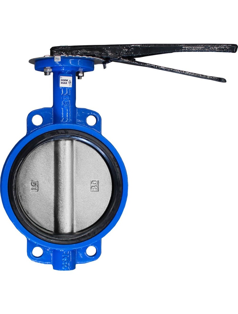 Válvula Mariposa con Palanca 10" Fierro