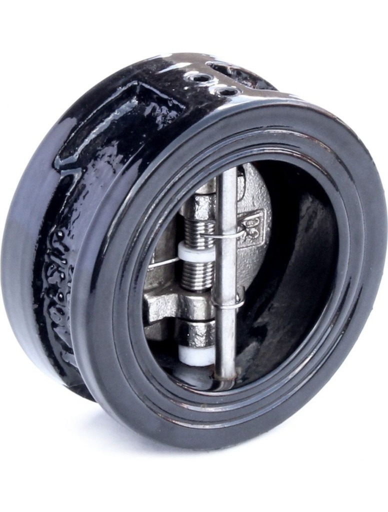 Válvula Check doble ala 2" Fierro